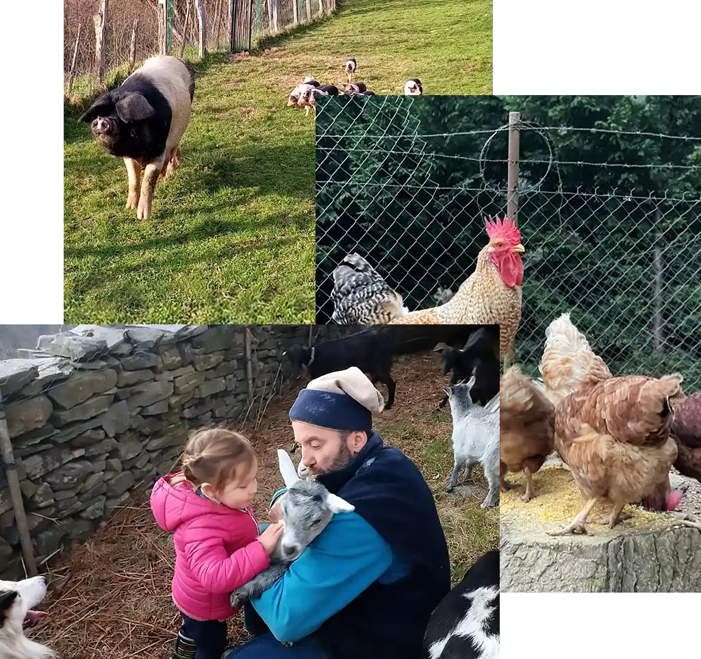 collage_agroturismo