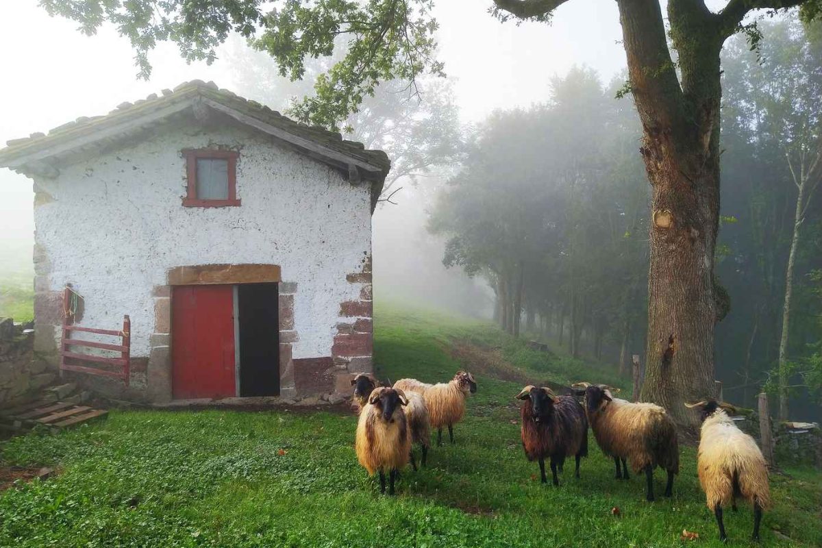 berroeta_190