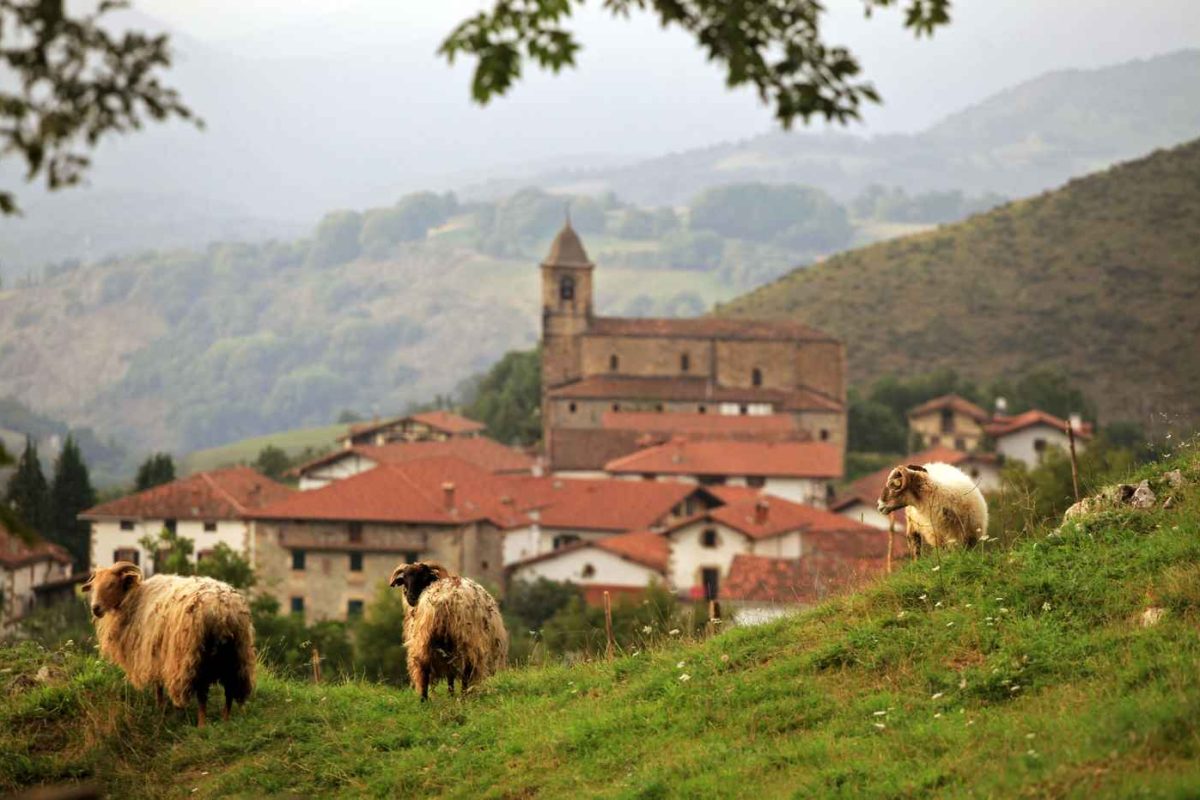 berroeta_20